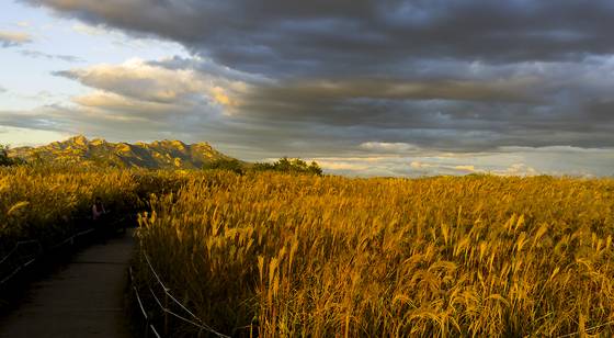 Sunrise at Haneul Park in Mapo District, western Seoul, on Oct. 18, 2018 [JOONGANG ILBO]