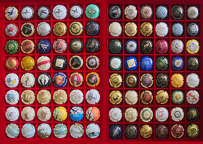 훌륭한 플라코뮈소필의 콜렉션. 뭐든지 체계적으로 모아두면 작품이 된다. [사진 출처=Pierre André Leclercq, 위키피디아]