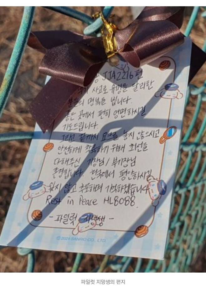 5bc76ab20a273de21e0a674e30f7c6ebfce09a5b.jpg 무안국제공항 활주로 현재 상황