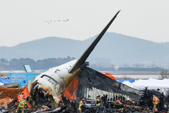 30일 오전 전남 무안군 무안국제공항 제주항공 여객기 충돌 폭발 사고 현장 인근에서 새 무리가 비행하고 있다. 연합뉴스