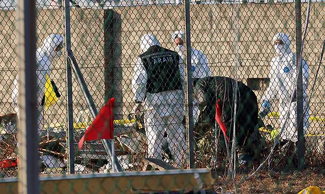 미국 국가교통안전위원회(NTSB)와 연방항공국(FAA), 보잉사 관계자들로 구성된 미국 조사단이 1일 오후 전남 무안국제공항 사고 현장에서 국토부 사고조사관과 함께 사고기 잔해를 확인하고 있다. 연합뉴스