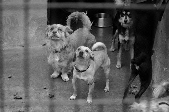 사진은 기사와 직접적인 연관이 없음.게티이미지뱅크