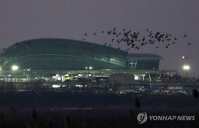 무안공항 인근 나는 새들 (무안=연합뉴스) 김성민 기자 = 1일 오후 전남 무안군 무안국제공항 인근에서 새들이 날고 있다. 2025.1.1 ksm7976@yna.co.kr