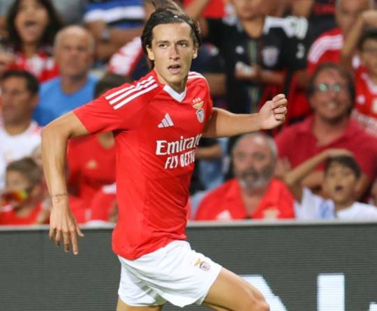 사진=벤비카 공식 홈페이지