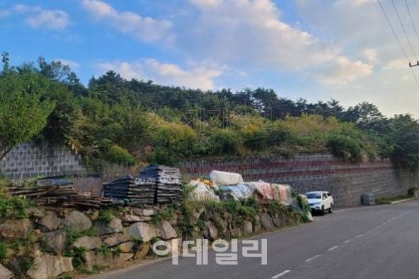 부산 기장군 장안읍 좌동리 205-2 임야. (사진=법원)