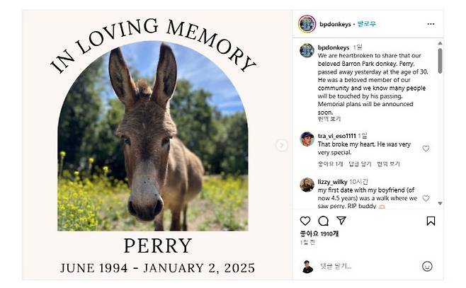 (사진=배런파크 동키 프로젝트 인스타그램)