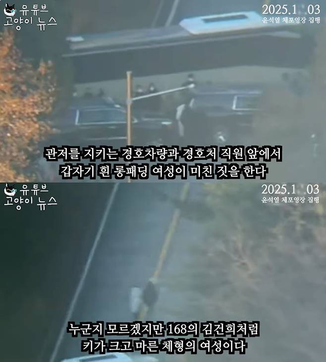 (고양이 뉴스 유튜브 갈무리)