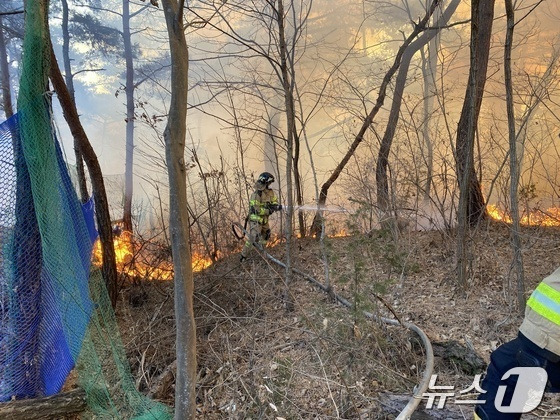 지난 3일 부산 기장군 산불 현장에서 소방대원이 화재를 진압하고 있다.(부산소방재난본부 제공)