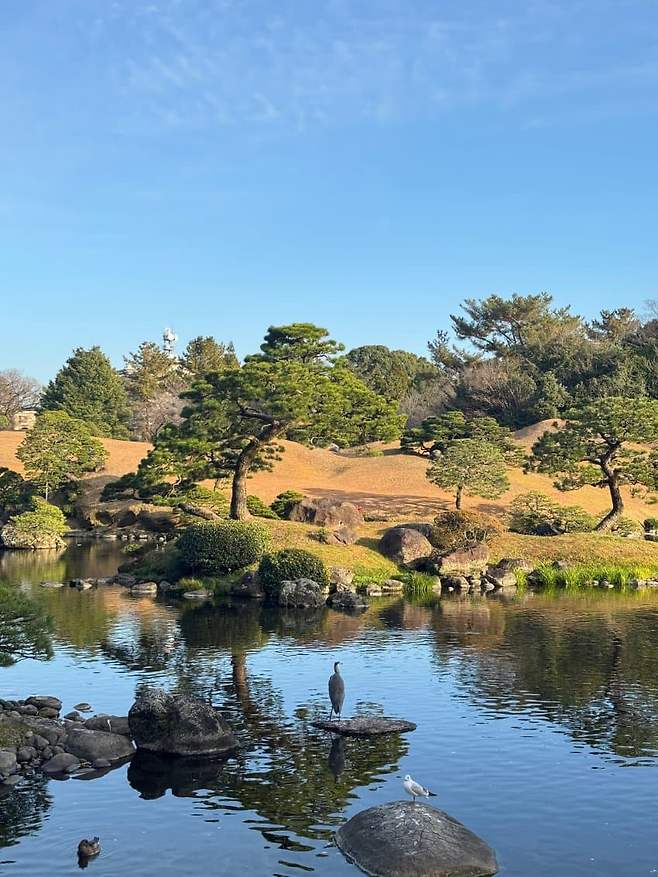 789c8305b6836cf1239ef4ed439c706d7835cfb02a98d975afcefd6ec24e6ddbcbf38ab0cbe70d5e87004710db08ab4512ce15bef4