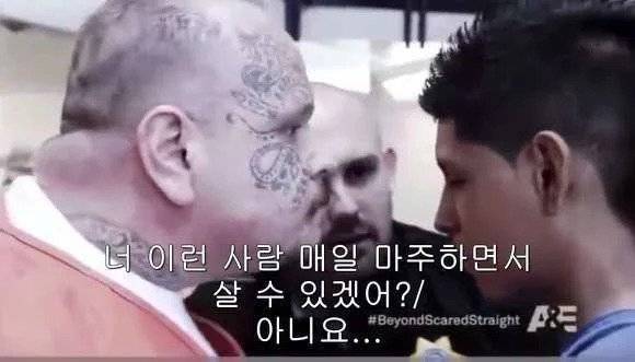 02.webp.ren.jpg 포텐 금쪽이 보니까 생각난 미국 비행청소년 교육법.JPG