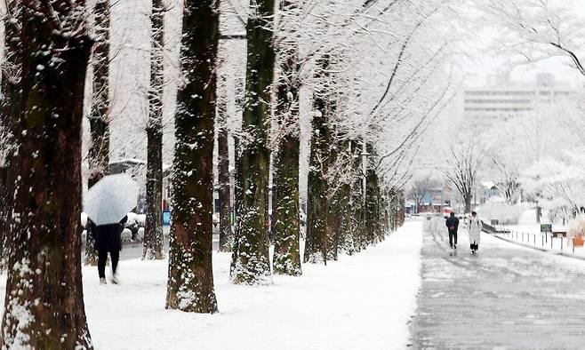 대설주의보가 발효된 지난해 12월28일 광주 북구 전남대학교에서 시민들이 교정을 거닐고 있다. 연합뉴스