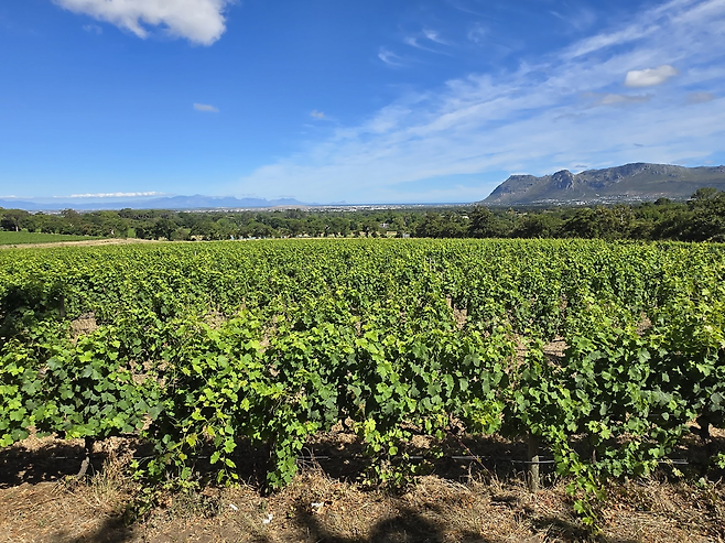 image.png 남아프리카 공화국 여행기!