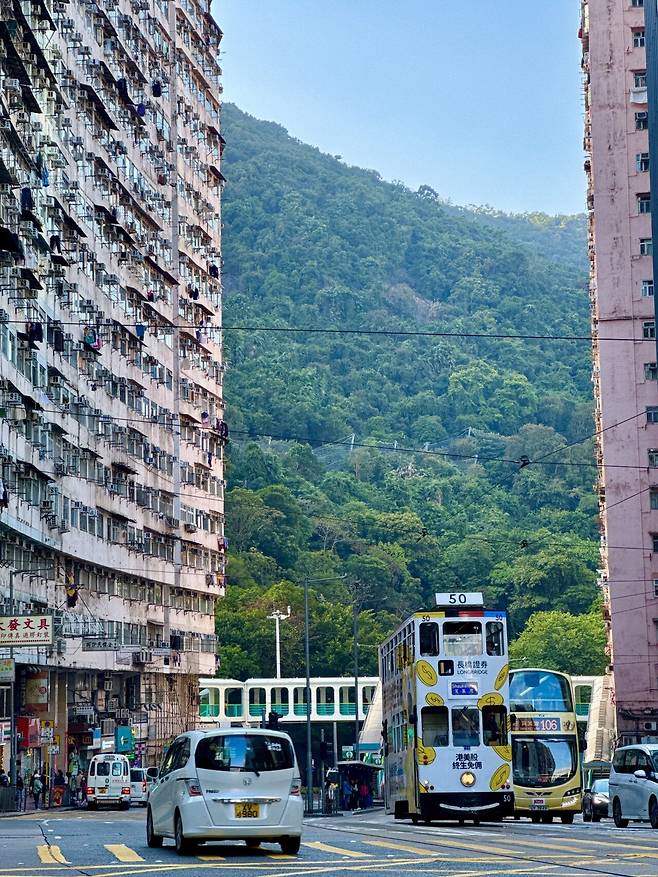 4박 5일 홍콩여행 다녀왔어요 (마카오 당일)