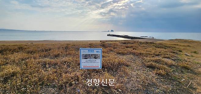 제주지역 환경단체들이 제주 안덕면 사계리 해안사구 올레길에 설치한 흰물떼새 번식지임을 알리는 표지판. 김기범기자