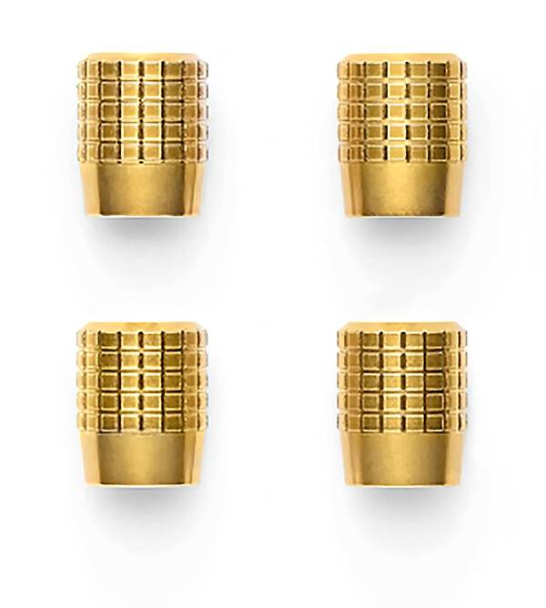 밸브 캡 사진 폴스타