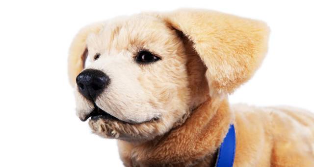 미국 스타트업 톰봇이 CES 2025에서 소개한 로봇 반려견 ‘제니’. 사진제공=톰봇