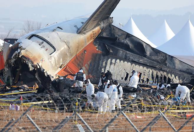 지난 1월 2일 전남 무안국제공항 제주항공 여객기 참사 현장에서 경찰 과학수사대가 현장 감식과 수색을 하고 있다. 연합뉴스