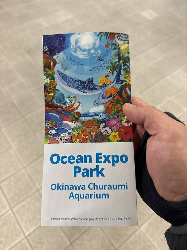 IMG_7569.jpeg 태교여행 오키나와 4박5일 음식 간단리뷰