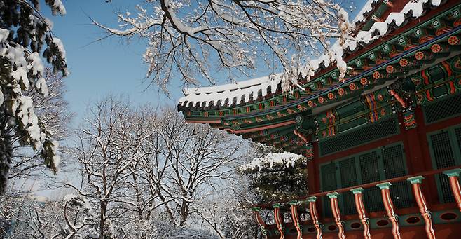 메이필드호텔 풍경 / 사진=메이필드호텔 서울