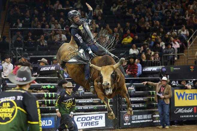 미국의 키숀 화이트호스가 5일(현지 시각) 미국 뉴욕 매디슨 스퀘어 가든에서 열린 2025 프로 불스 라이딩 '언리쉬 더 비스트'에서 황소 '우츠 베스텍스 레전드'를 타고 있다./AFP 연합뉴스