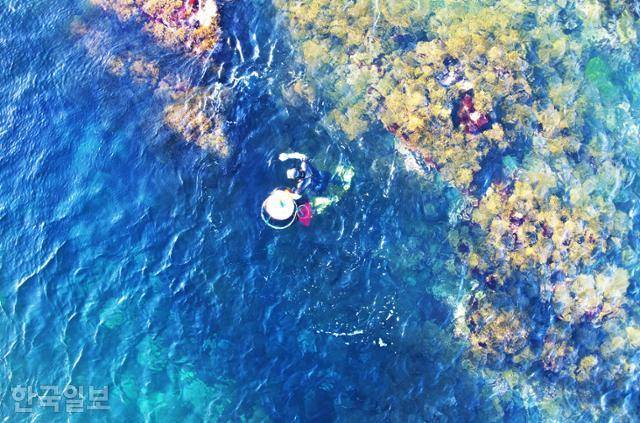 대진항 시린 바다에서 해녀가 물질을 하고 있다. 움츠리고 나태한 마음에 생기를 불어넣는 장면이다.