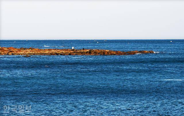 차유마을 앞 갯바위에서 낚시꾼이 고기를 잡고 있다.