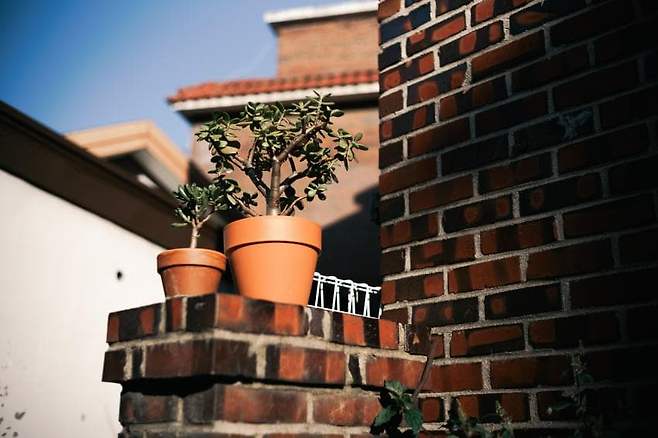 029aef00d0f811804793fbf515dd252ee400ba33bfbf9c0806385f162a8ab2ac3960fb27d87e707a14bf9aed04a904dae89a3b0b1961e6eaf0