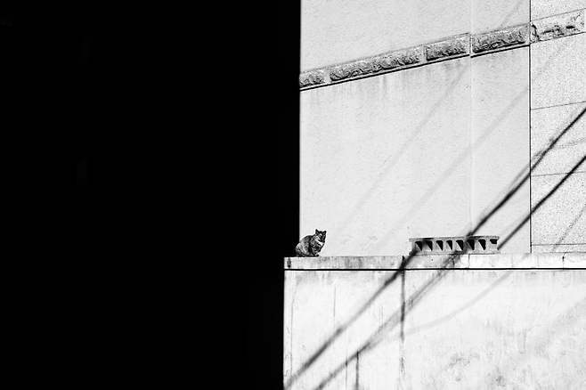 058f8919bd8b6bf07cf1dca511f11a3921fd25ad0eb411a79783