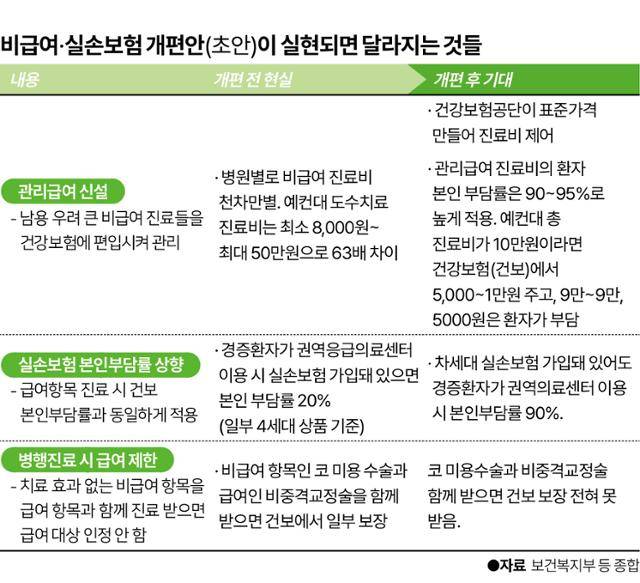비급여·실손보험 개편안(초안)이 실현되면 달라지는 것들. 그래픽=이지원 기자