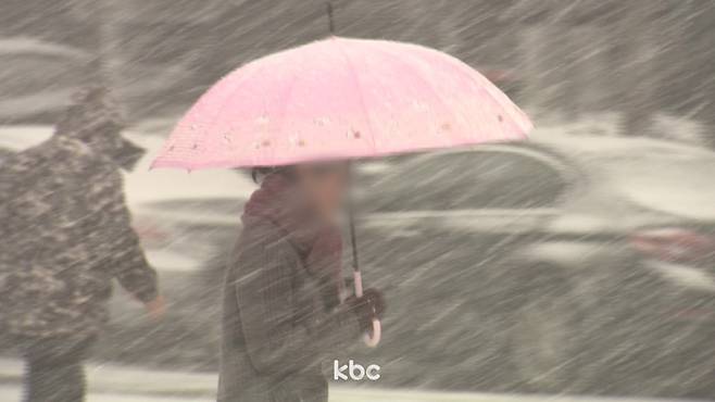 ▲ 자료이미지&nbsp;