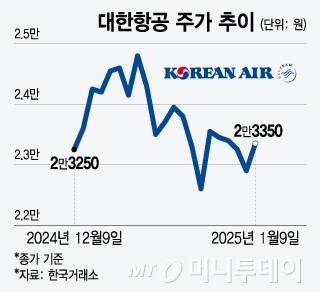 대한항공 주가 추이/그래픽=윤선정 기자