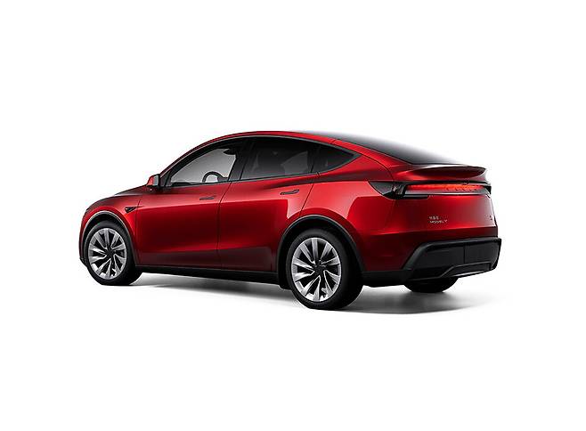 테슬라 모델 Y 주니퍼