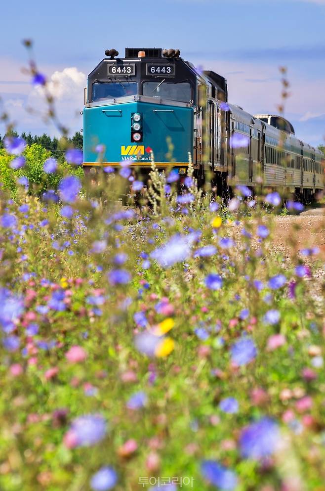 ⓒ비아레일캐나다(VIA Rail Canada)/캐나다관광청 제공