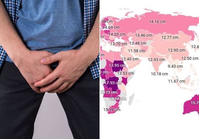 음경을 쥐고 있는 남성(왼)과 142개국의 발기한 음경 길이가 나타난 지도(오)의 모습​/사진=게티이미지뱅크, Data Pandas