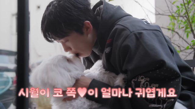 가수 임영웅 / 유튜브 채널 '임영웅'