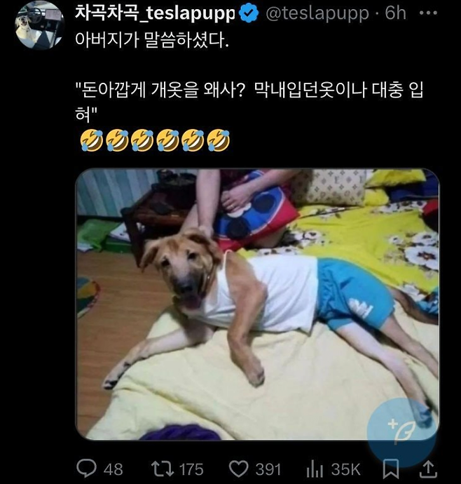 돈 아깝게 개옷을 왜삼