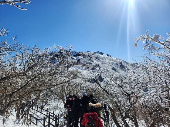 덕유산국립공원 향적봉 코스의 설경. 국립공원공단 제공
