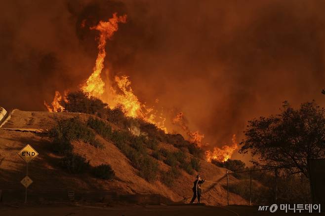 아널드 슈워제네거 등 많은 유명 인사들이 살고 있는 맨더빌 캐니언으로 팰리세이즈 산불 불길이 확산되자 한 소방관이 화재 진압을 위해 사투를 벌이고 있다. 로스앤젤레스 산불의 급속한 확산을 부른 강풍이 또다시 예보된 가운데 소방관들은 11일(현지시각) 세계적으로 유명한 J. 폴 게티 박물관과 로스앤젤레스 캘리포니아 대학(UCLA)으로 불길이 번지는 것을 막기 위해 안간힘을 쓰면서 새로운 대피 경고를 내려 더 많은 주택 소유자들을 긴장시켰다./AP=뉴시스