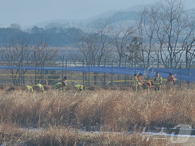 12일 오전 전남 무안국제공항 인근에서 소방 등 수습당국이 수색 작업을 벌이고 있다. 2025.1.12/뉴스1 ⓒ News1 전원 기자