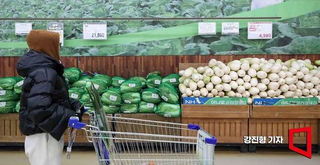 서울 서초구 하나로마트 양재점에 배추와 무가 진열돼 있다.