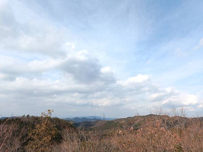 신년맞이 해먹자캠