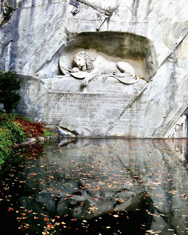 고통의 정점에서 박제된 듯한 빈사의 사자상