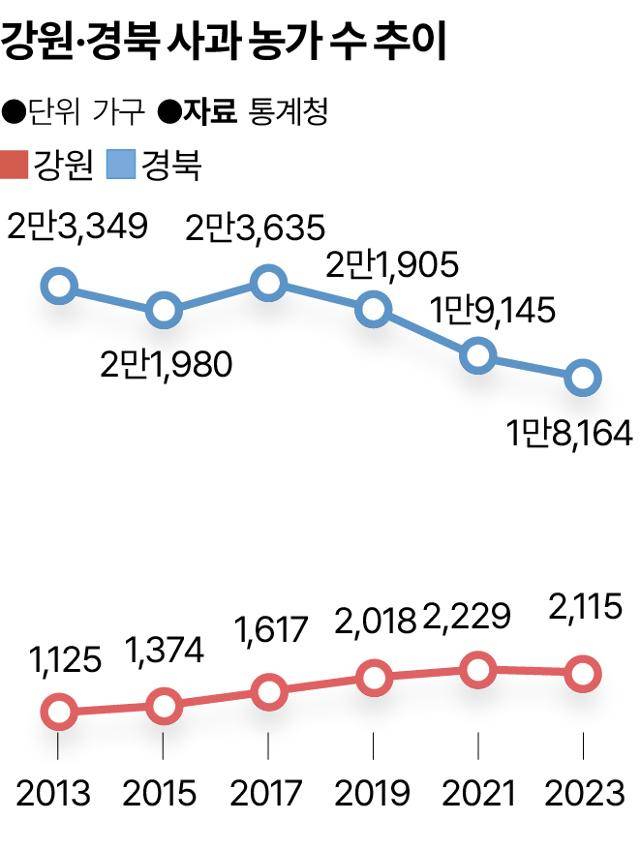 강원·경북 사과 농가 수 추이. 그래픽=송정근 기자