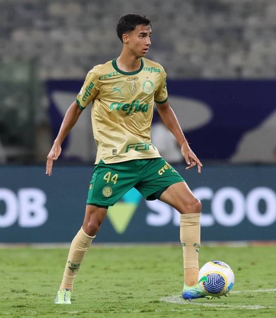 비트로 헤이스. 사진[팔메이라스 공식 홈페이지]