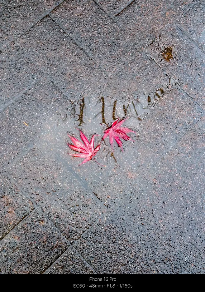 0490f719b1866af020a8d3b706f11a398fe18835d0c2d06ab2e4