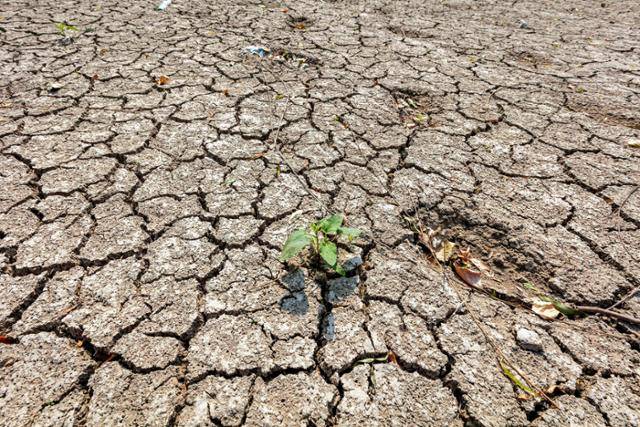 지난해 6월 중국 중부 하남성 화셴현의 저수지가 오랜 가뭄으로 바닥을 드러내고 있다. 화셴=AP 연합뉴스 자료사진