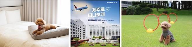 /사진제공=글래드 호텔