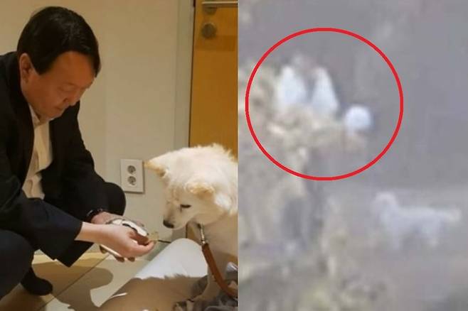 尹, 압송 직전 “토리 좀 보고 가겠다”…김여사는 못 일어나