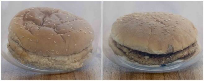 햄버거 썩히기 실험 100일째 맥도날드 빅맥(왼쪽)과 롯데리아 불고기버거. 강진형 기자