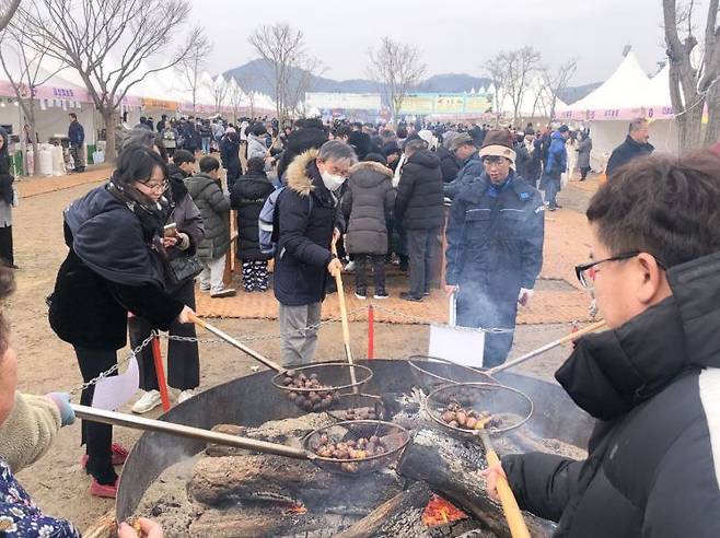 지난해 군밤축제에서 방문객들이 대형화로에서 밤 을 굽고 있다./공주시청